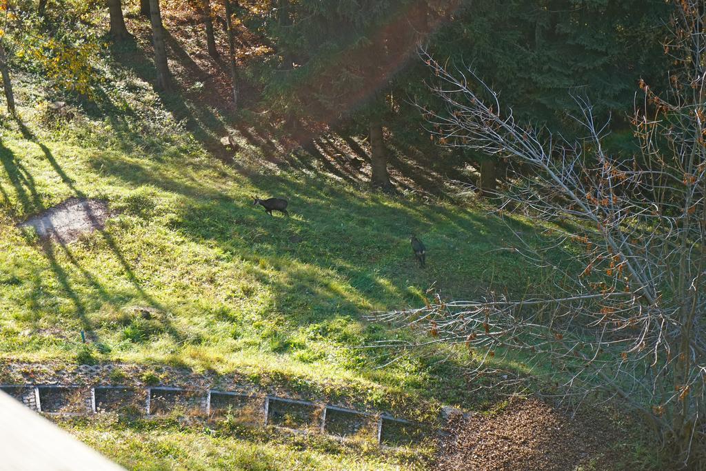 Domaine De La Croix De Javernaz Villars-sur-Ollon Εξωτερικό φωτογραφία